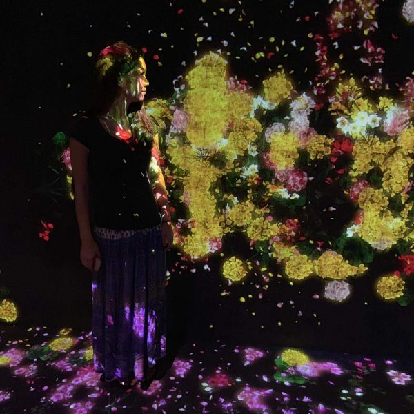 Experience Digital Art at Teamlab Borderless Museum in Odaiba, Tokyo Japan, tips on visiting