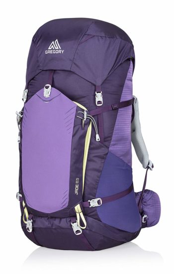 gregory purple backpack